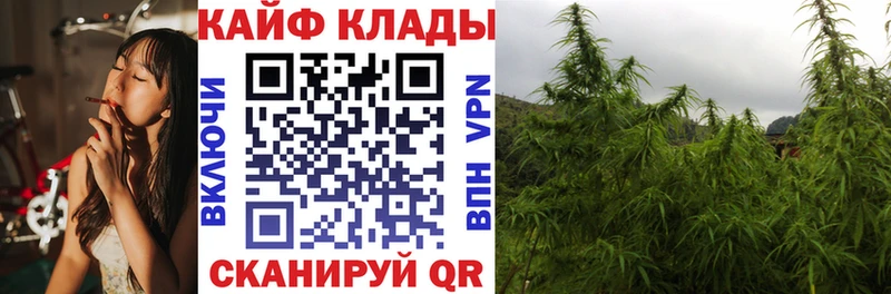 Псилоцибиновые грибы Петропавловск-Камчатский