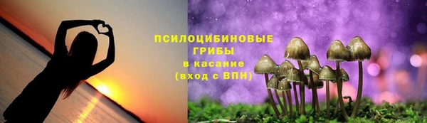 бошки Вяземский