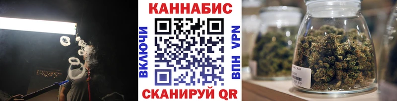 купить наркотик  Петропавловск-Камчатский  дарк нет формула  Марихуана сатива 